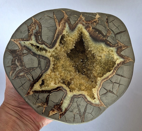 Grosse septarie geode x - septarie,