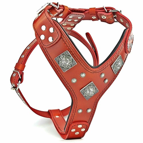 Bestia eros hunde - bestia,
