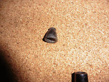 Regenschutz Gummikappe für Oldtimer Motorrad DKW RT 125 Spulenkasten Zündkabel