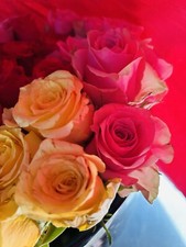 Rolf Benz Relax Stuhl