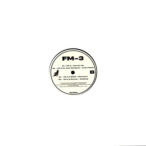 Funky beats vinyl - fm-3, 12"