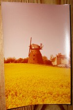 Foto 1975: Rodenberg Deister Windmühle Molen Mühle Schaumburg Windmill Moulin