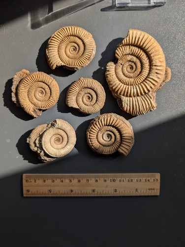 Exzellente stücke mit - stücke,