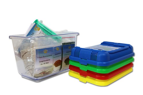 Triops longicaudatus - triops,
