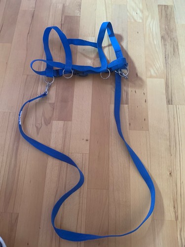 Pferdeleine kinder blau - pferdeleine,