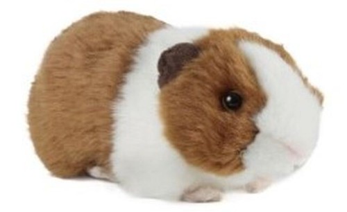 Meerschweinchen 20cm mit sound - 20cm,