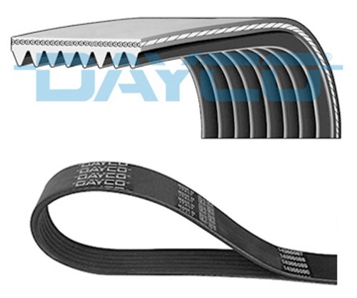 Keilrippenriemen 8pk1289hd - keilrippenriemen,
