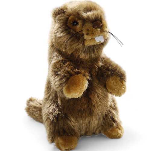 Carl dick murmeltier 17cm - murmeltier,