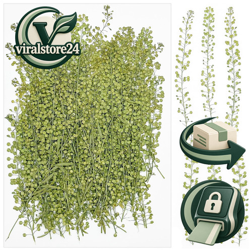 Getrocknete blumen 100 - blumen,