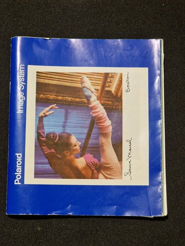 Polaroid image system - polaroid,