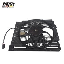 Hajus Elektrolüfter