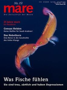 Mare die zeitschrift - mare, der