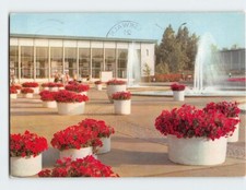 Postcard Internationale