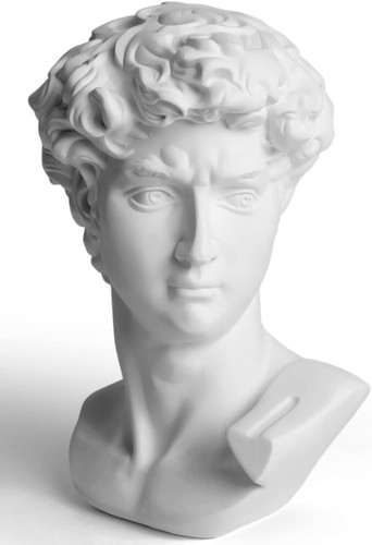 David statue kopf skulptur - david,