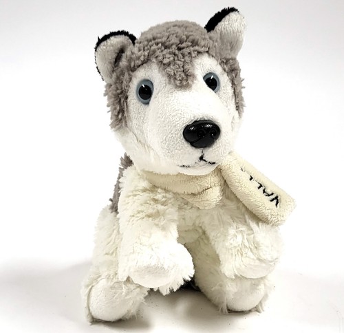 Cartepostalerie husky welpen - cartepostalerie,