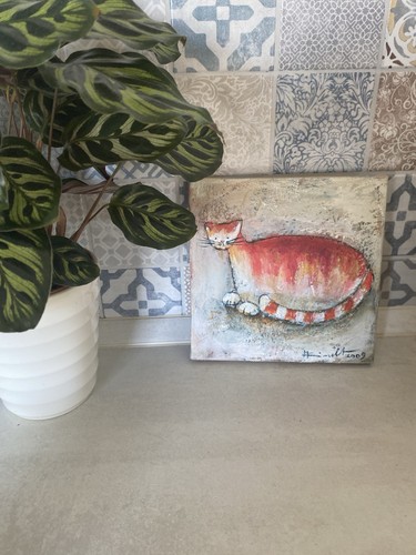 Katzen bild - katzen,
