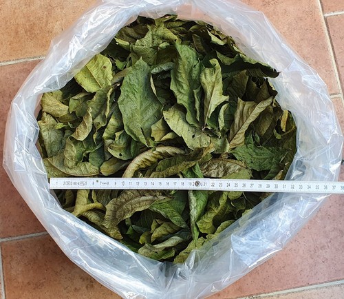 Walnussblätter 500g