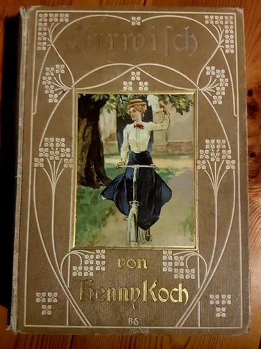 Irrwisch mädchenbuch antik - mädchenbuch,