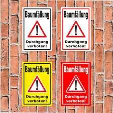Schild Baumfällung Durchgang verboten - in 4 Größen Bäume Baum fällen S00359-053