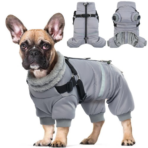 Wasserdichter hundemantel - wasserdichter,