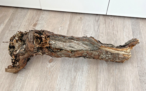 Weinstock rebe natur echt - natur,