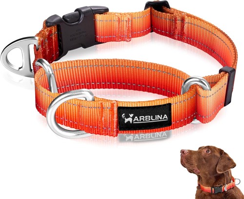 Arblina martingale - arblina,