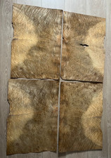 Ahorn - Wurzelholzfurnier-Maserung (Maple burl) 730mmx500mm/0,5-0,7dicke 7Stück 