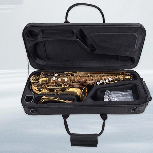 Altsaxophon-Koffer