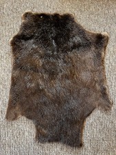 Wilde natürliche Biberfell |