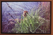 Badenixe    schöne Frau