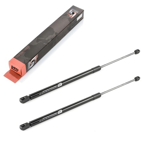 Gasfeder - 2x,