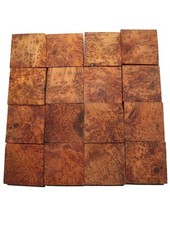 Thuja Wurzelholz Thuya Maser