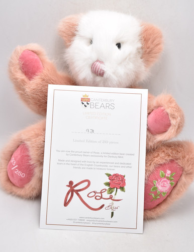 Canterbury bears rose - canterbury,