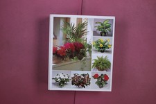 353982 ZIMMERPFLANZEN VON A-Z HC