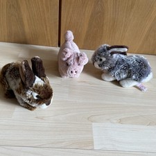 Teddy Hermann  Ferkel + 2