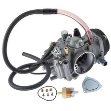 Carburetor Carb Vergaser for