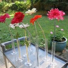 9 x Tischvasen- Glasvasen ca 25 cm Hoch + Stoffblumen-Gastrobedarf -NEUWERTIG