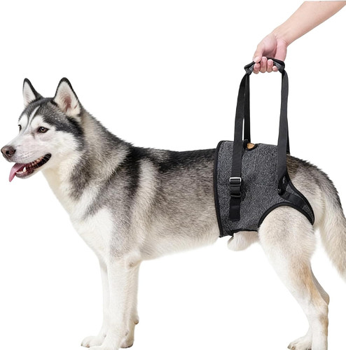 Tragehilfe hund verstellbare - tragehilfe,
