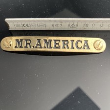 WWE Gürtelplatte Mr.America