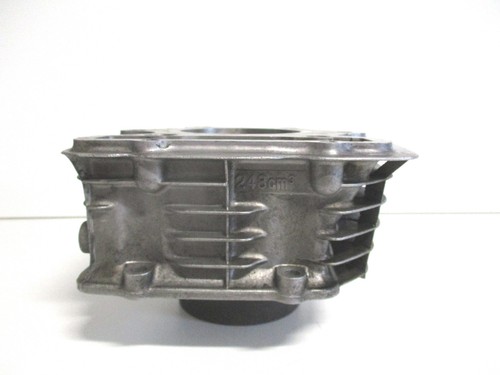 Original zylinder 248ccm - original,