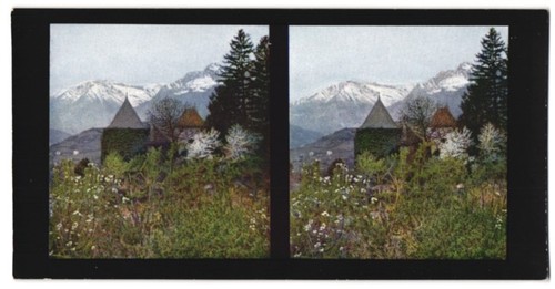 Stereo-Fotografie