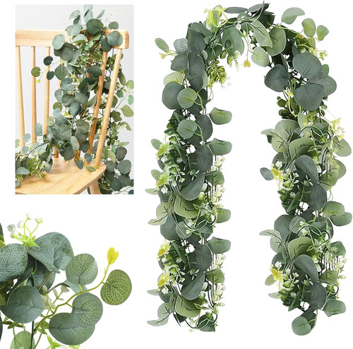 Stück eukalyptus - stück,