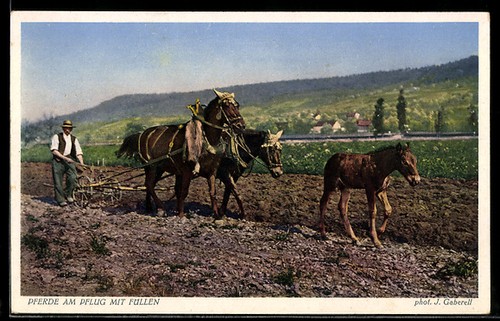 Landwirtschaftliches