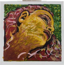 Pirastro Evah Pirazzi Neo