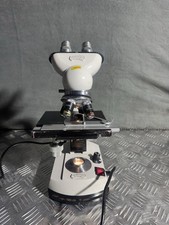 Labor Arzt Kurs Routine