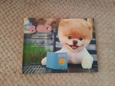 Boo der süsseste Hund der