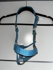 Fohlen Halfter - Hellblau