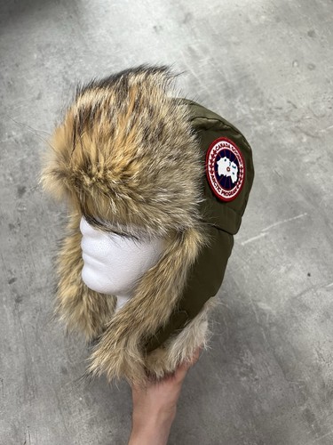Canada goose arctic program - canada,