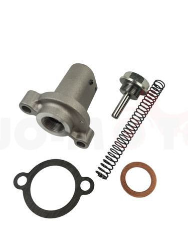 Steuerkettenspanner mit - oe,