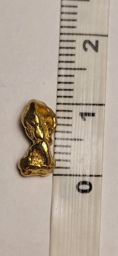 Alaska yukon goldnugget 05 - alaska,
